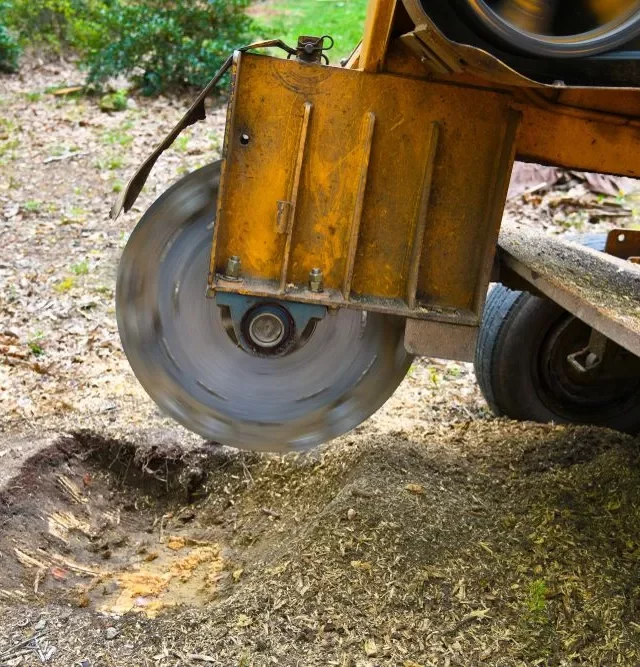 Swift Stump Grinding in Northern NSW