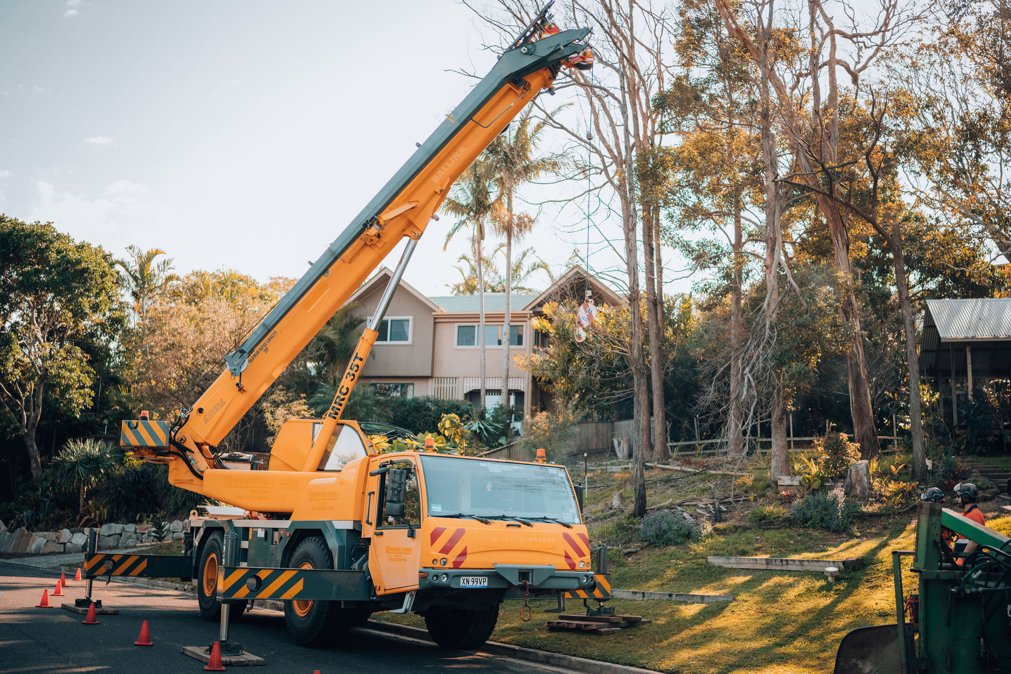 Tree Pruning Service Provider in Byron Bay