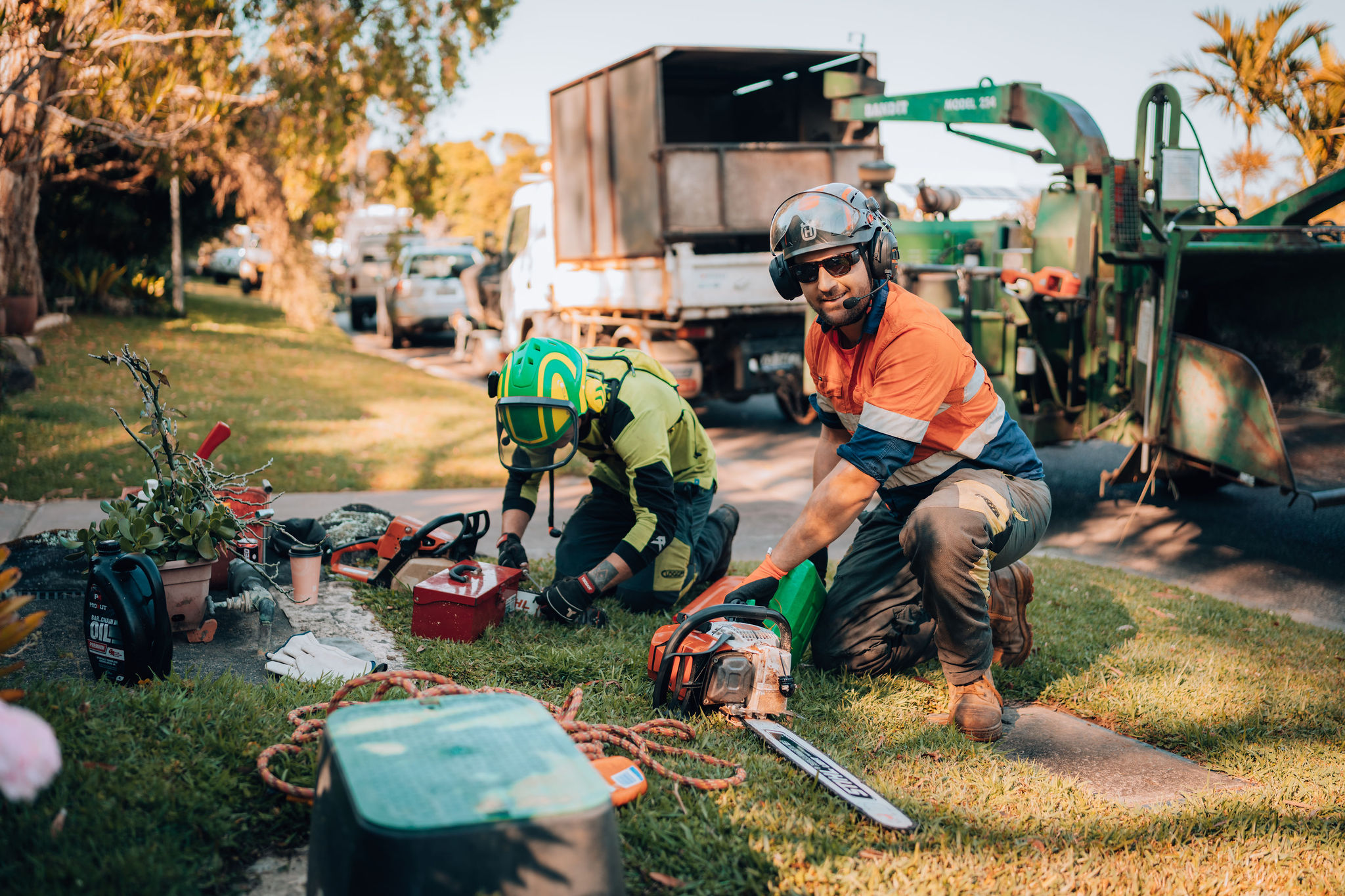 CATERSTREES-133 stump grinding service ballina