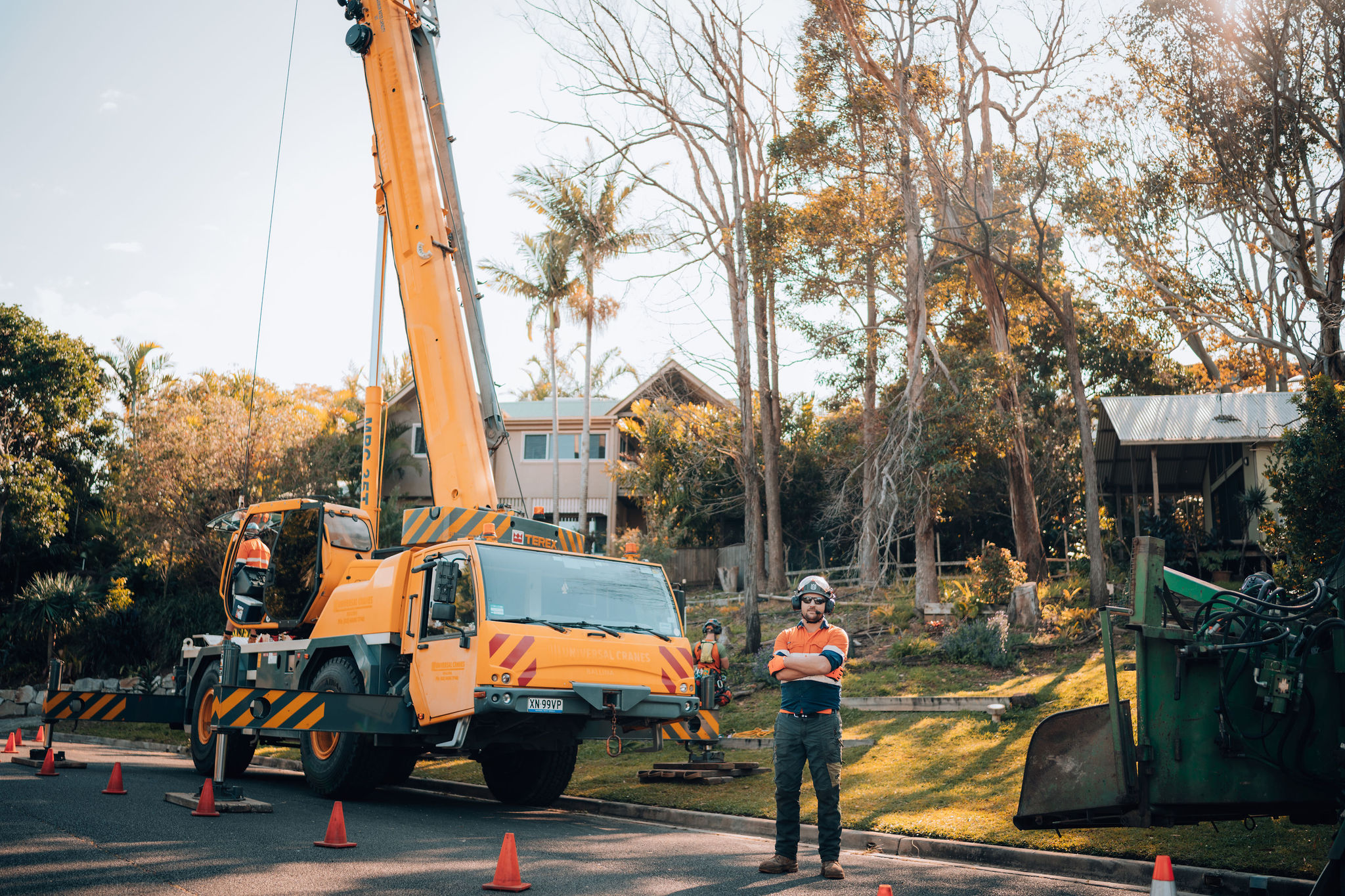 CATERSTREES-145 Tree Pruning Service Provider in Byron Bay