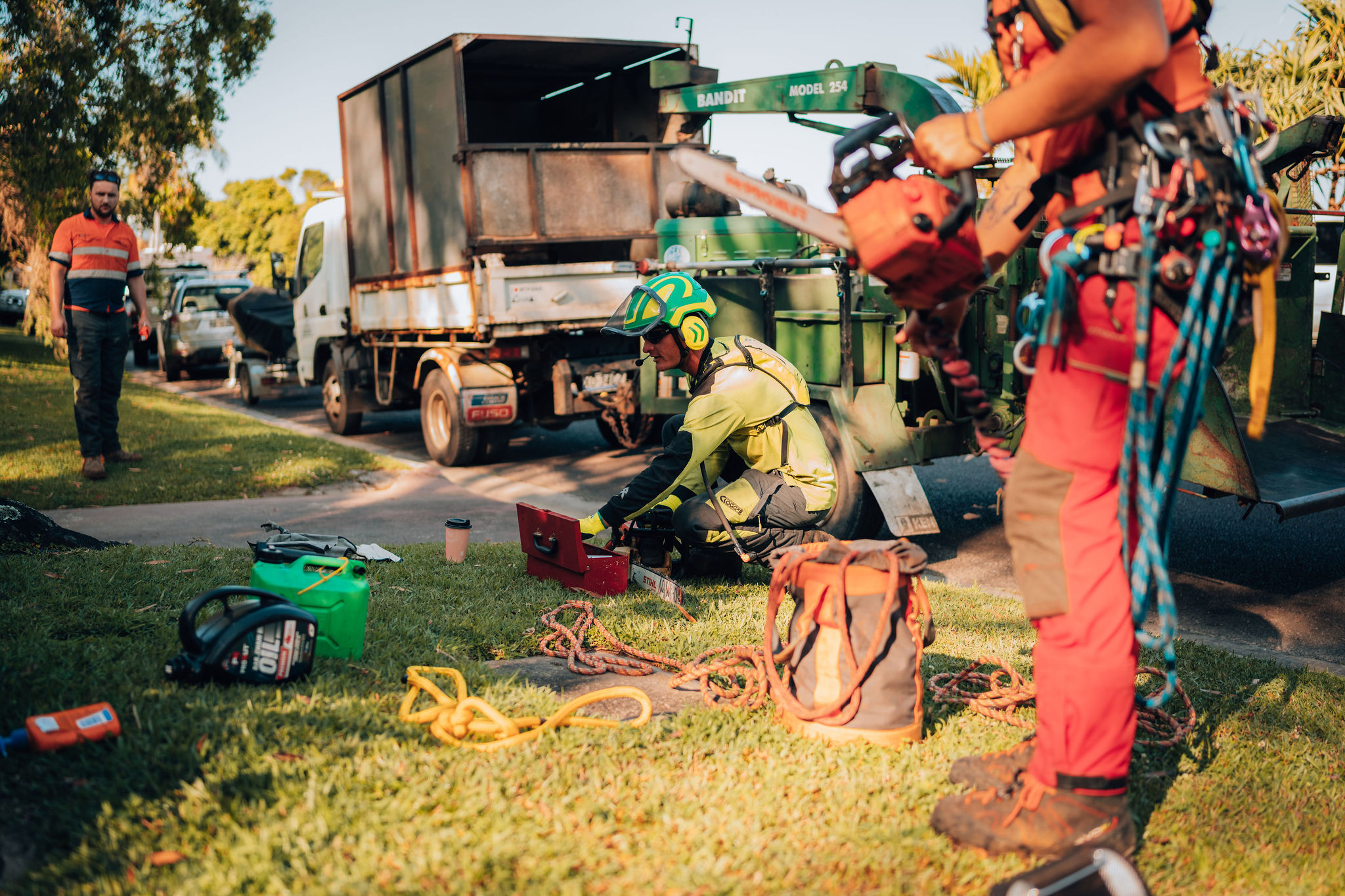 Tree Pruning Service Provider in Byron Bay