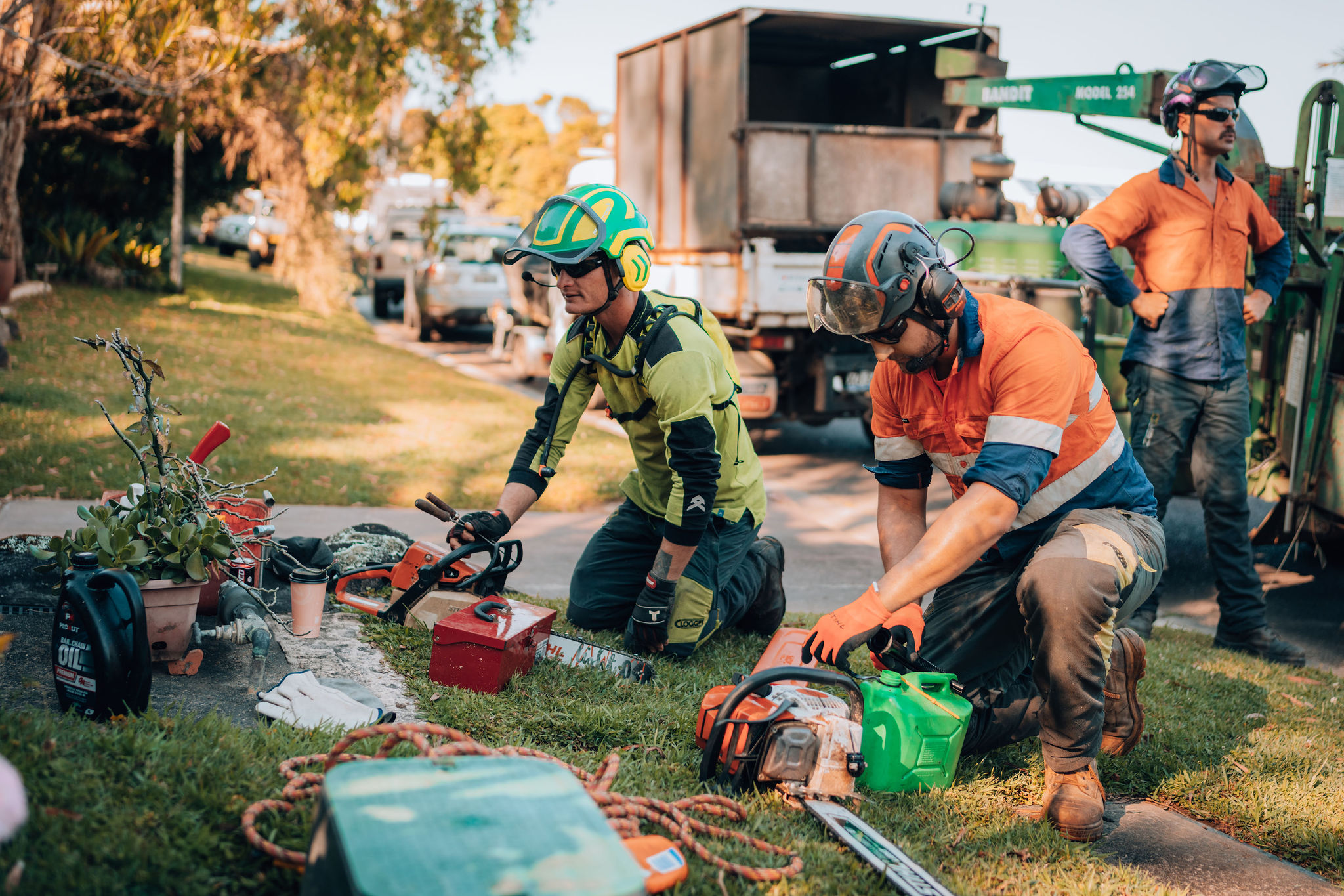 Tree Pruning Service Provider in Byron Bay
