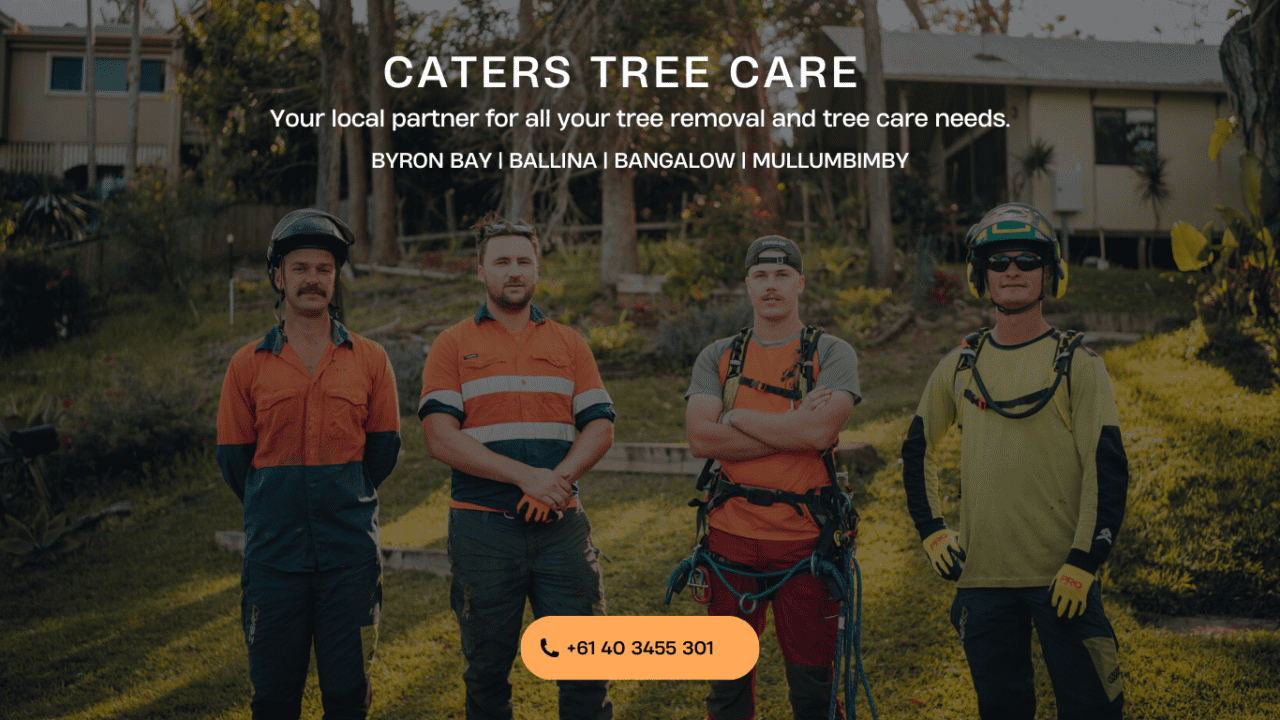 tree removal byron bay
